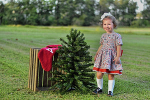 Winterberry Dress & Bloomers