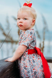 Winterberry Dress & Bloomers