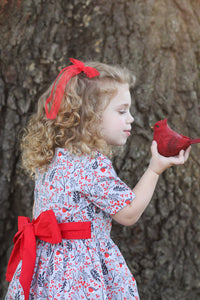 Winterberry Dress & Bloomers