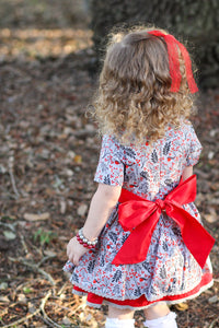 Winterberry Dress & Bloomers