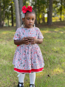 Winterberry Dress & Bloomers